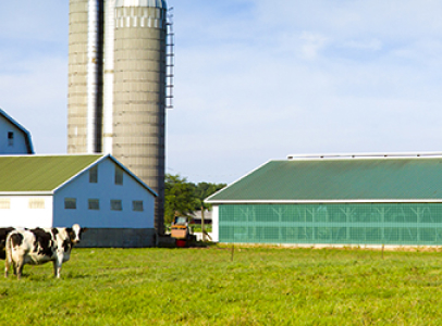 filet ed protection agricole